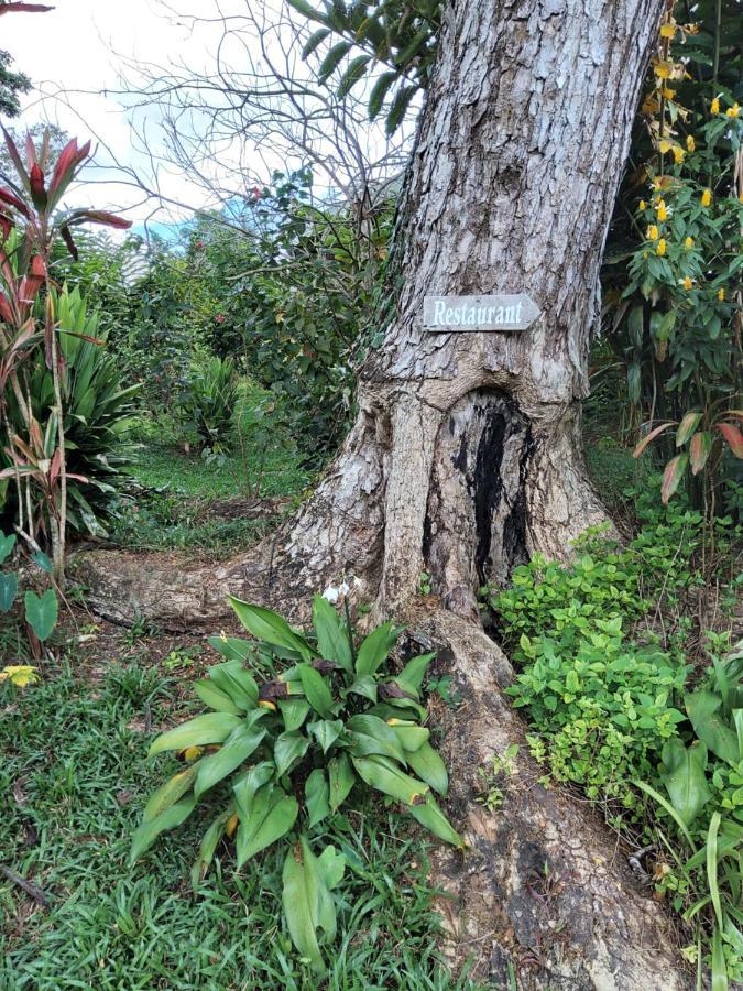 Forest Garden Residence Bilar 外观 照片